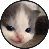 User Huss